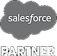Salesforce Consulting Partner